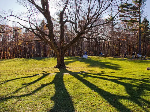 Moorside grounds at the Mackenzie King Estate, Gatineau Park