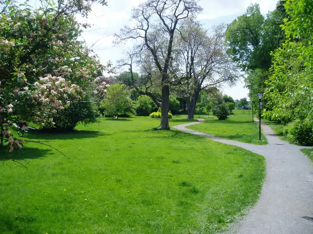Central Park in the Glebe neighbourhood, Ottawa