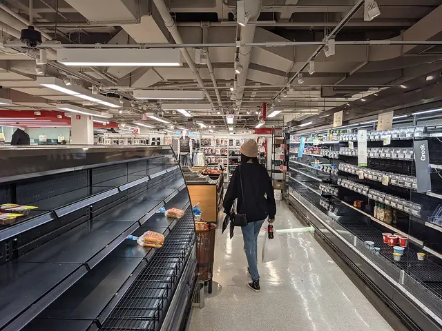 Grocery store shelves left mostly empty during a winter storm supply shortage.