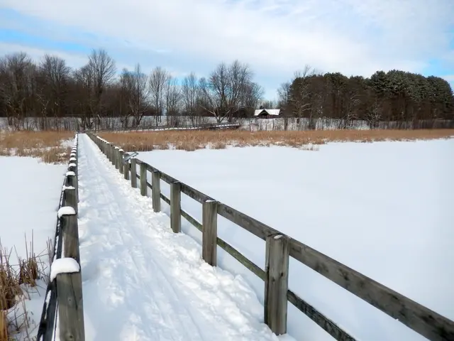Boardwalk through the Mer Bleue Bog, Ottawa