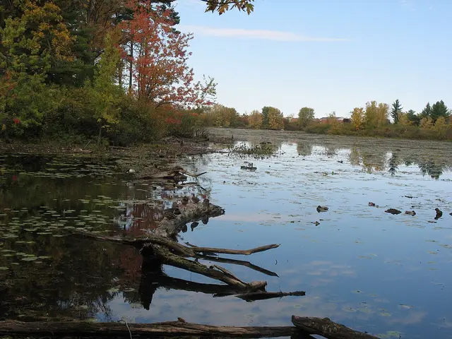 Mud Lake trail in Britannia, Ottawa
